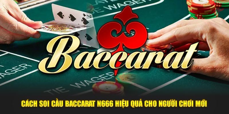 Cách soi cầu baccarat cho người chơi mới