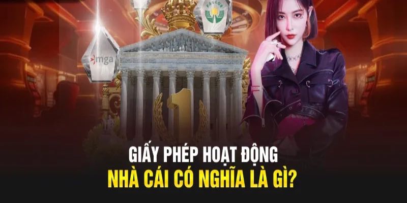 khám phá vai trò của giấy phép hoạt đông