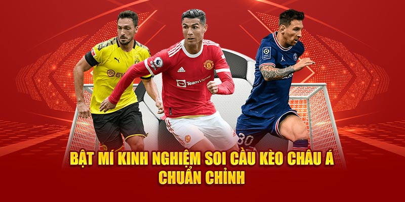 Tầm quan trọng của việc hiểu rõ thuật ngữ cá cược bóng đá 