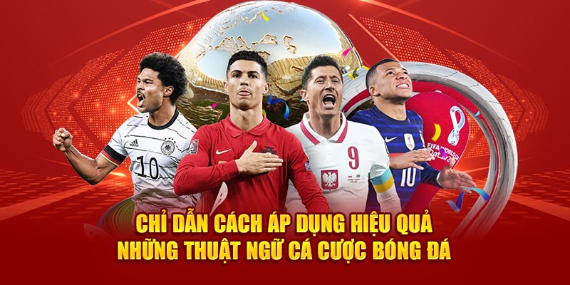 Chỉ dẫn cách áp dụng hiệu quả những thuật ngữ cá cược bóng đá