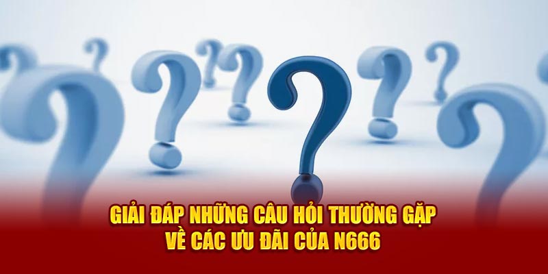 Giải đáp những câu hỏi thường gặp về các ưu đãi của N666