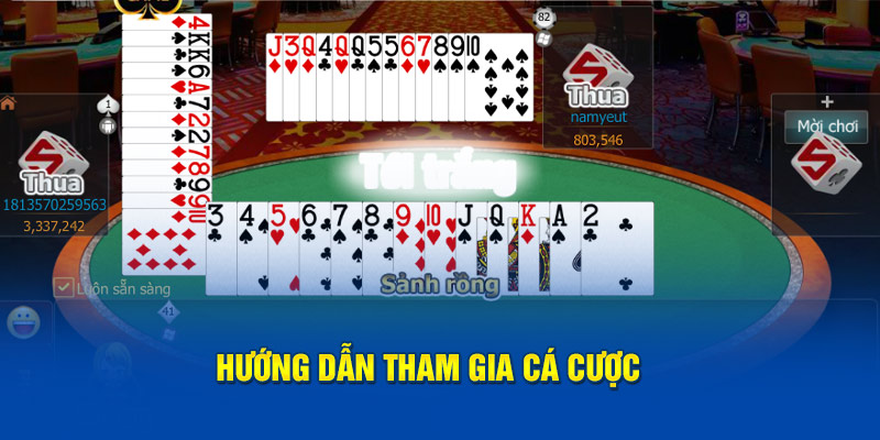 Hướng dẫn quy trình để cá cược